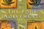 Reading in a book :The Four Agreements: A Practical Guide to Personal Freedom.